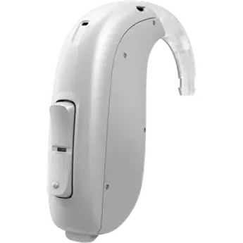 Behind-the-ear hearing aid with its earhook